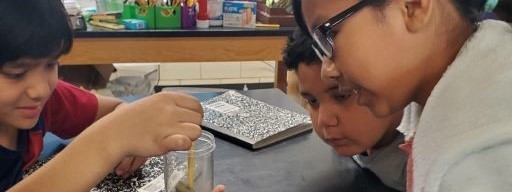 Students are experimenting in science class.